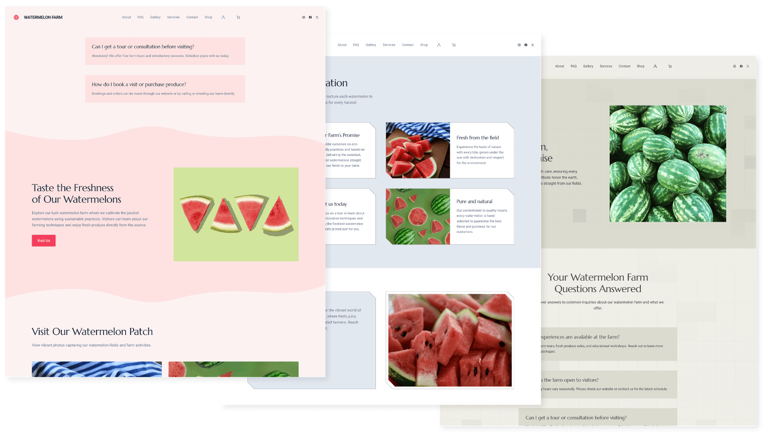 Extendify v2.4: site animations, new styles, and custom color palettes